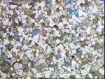 Thin section of Forest of Dean sandstone